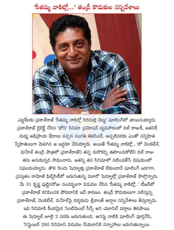 prakash raj,seethamma vakitlo sirimalle chettu,svsc movie,tollywood actor prakash raj,mahesh babu,venkatesh,dil raju,tollywood actor mahesh babu,tollywood actor venkatesh,svsc teaser,svsc release date,venkatesh with mahesh  prakash raj, seethamma vakitlo sirimalle chettu, svsc movie, tollywood actor prakash raj, mahesh babu, venkatesh, dil raju, tollywood actor mahesh babu, tollywood actor venkatesh, svsc teaser, svsc release date, venkatesh with mahesh